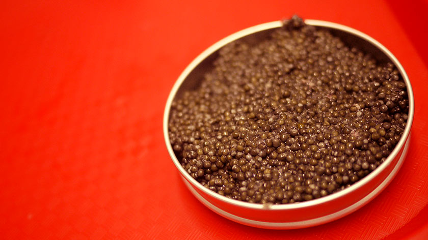 caviar-de-neuvic-49