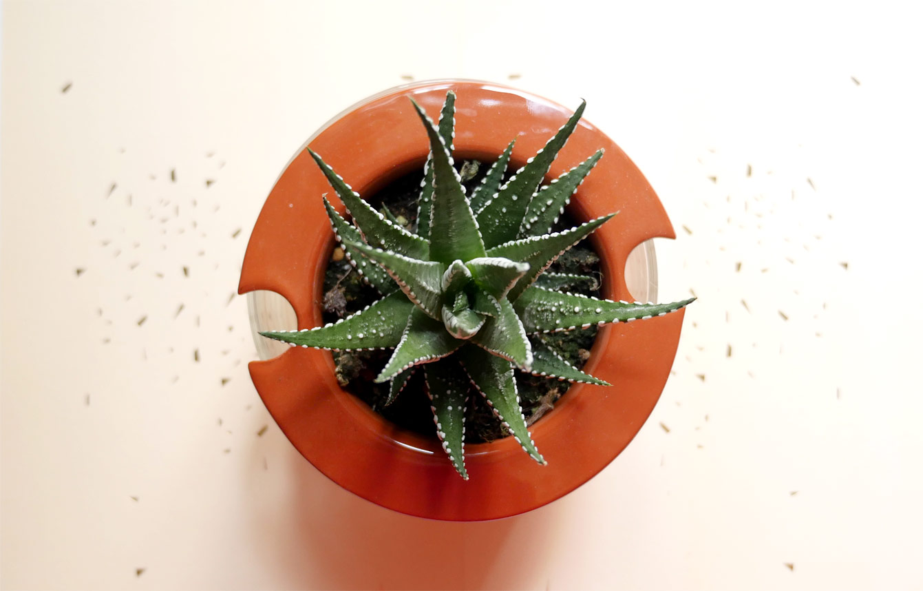 Wet Pot : le pot qui entretient vos plantes