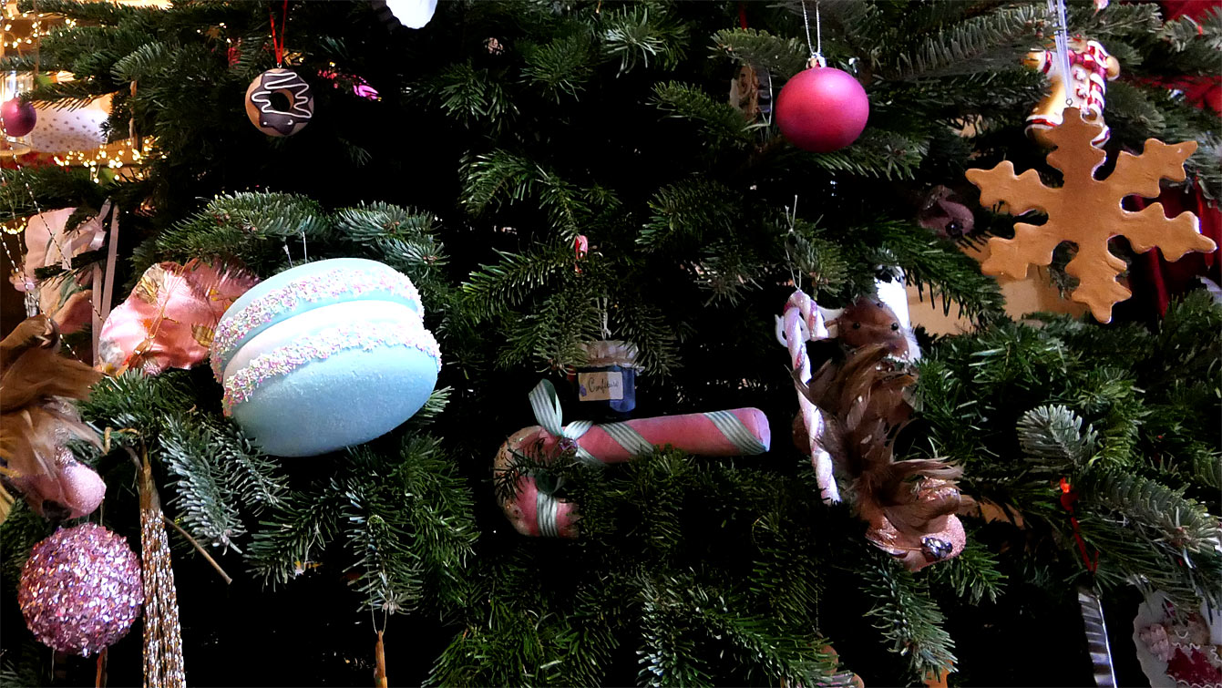 A l'intérieur de l'Orangerie, château de Cheverny, pendant Noel