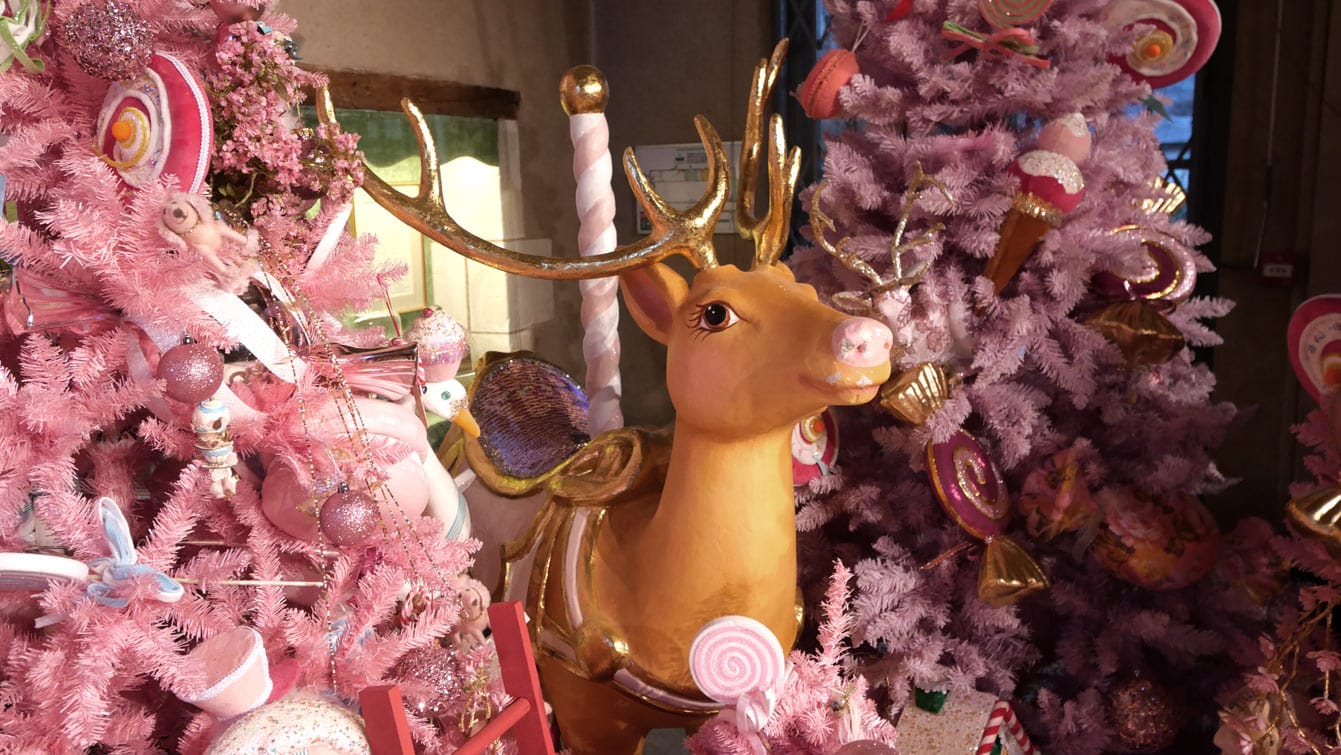 A l'intérieur de l'Orangerie, château de Cheverny, pendant Noel