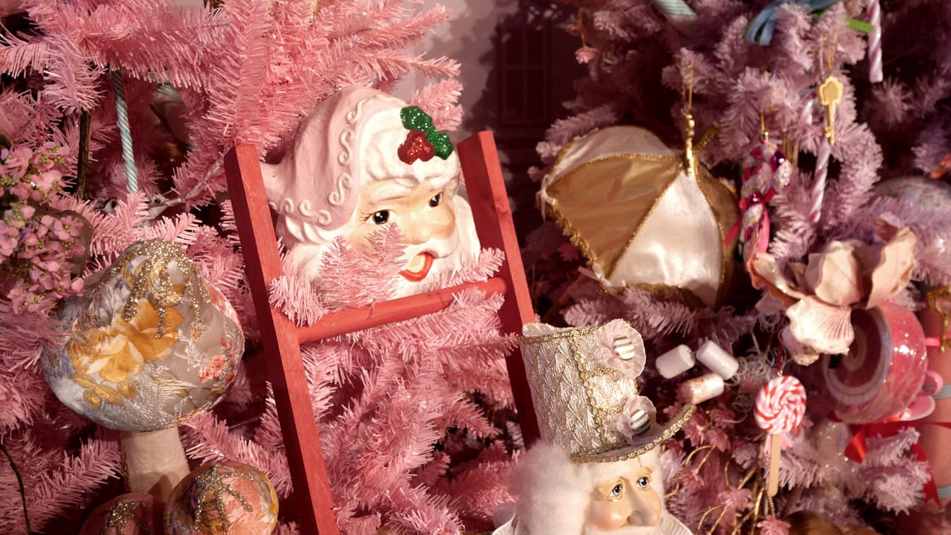 A l'intérieur de l'Orangerie, château de Cheverny, pendant Noel