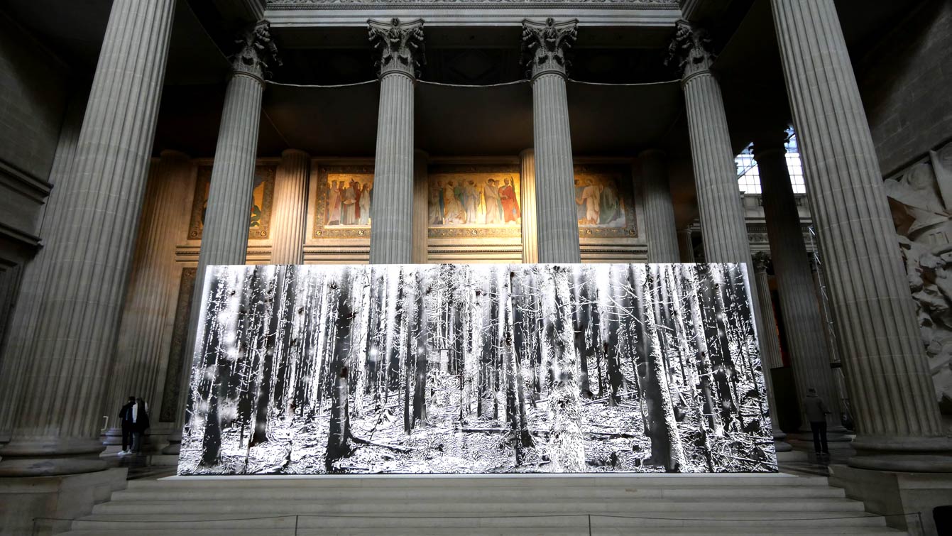 Nicolas Daubanes, Ancien camp de concentration
de Natzweiler-Struthof, forêt,
Poudre d’acier aimantée, 4 x 11 m, 2025