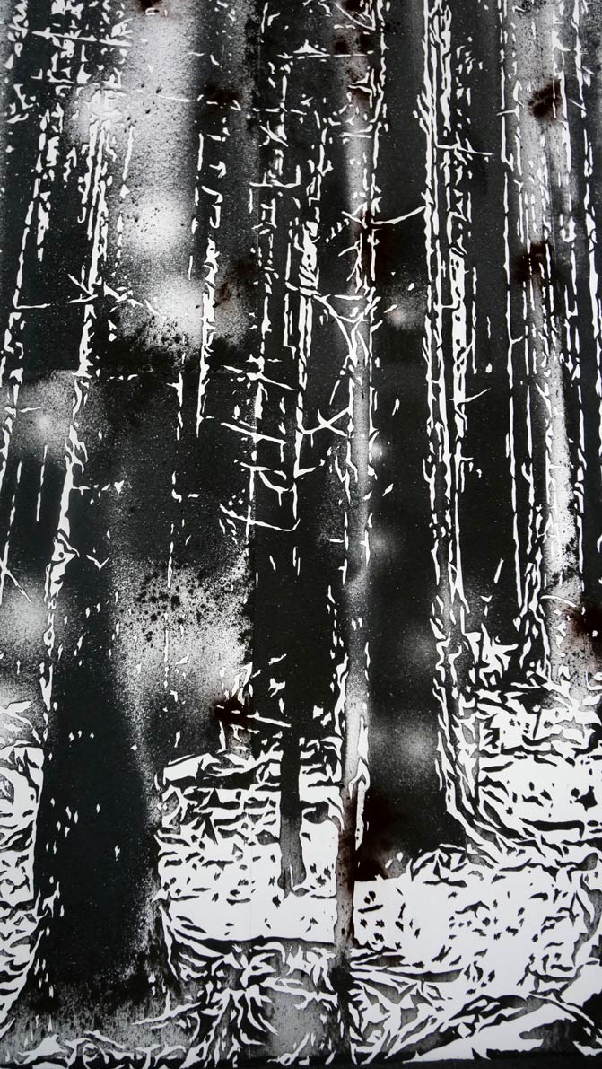 Détails Nicolas Daubanes, Ancien camp de concentration
de Natzweiler-Struthof, forêt,
Poudre d’acier aimantée, 4 x 11 m, 2025
