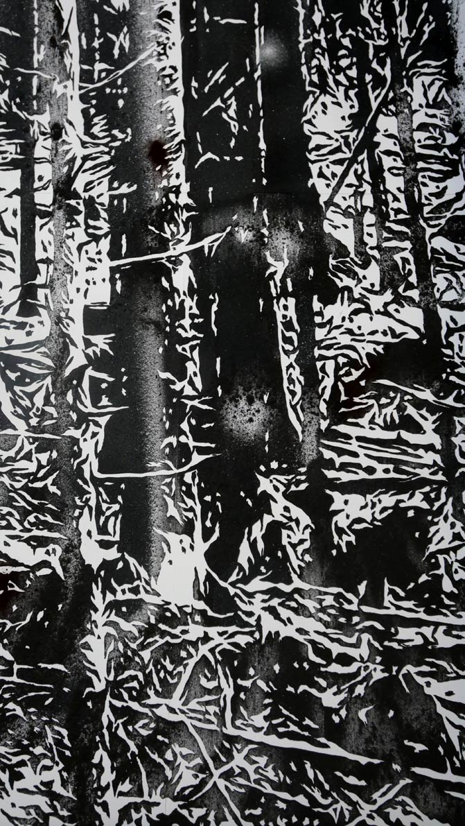 Détails Nicolas Daubanes, Ancien camp de concentration
de Natzweiler-Struthof, forêt,
Poudre d’acier aimantée, 4 x 11 m, 2025