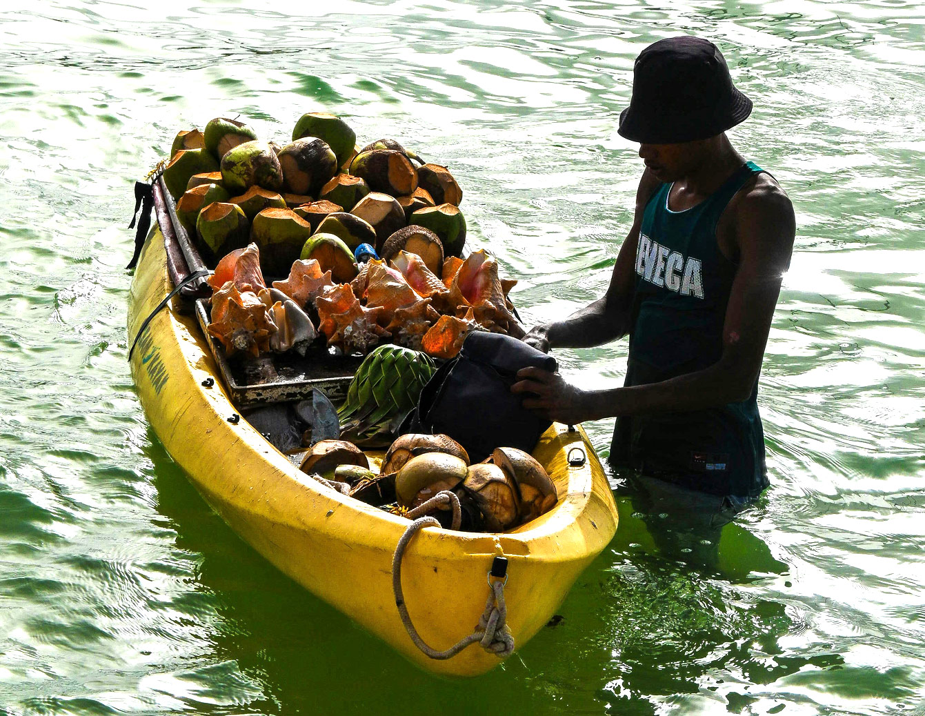 marchand de fruits sur l'eau