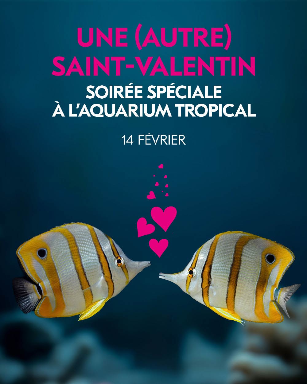 Saint-valentin : Aquarium tropical du Palais de la Porte Dorée