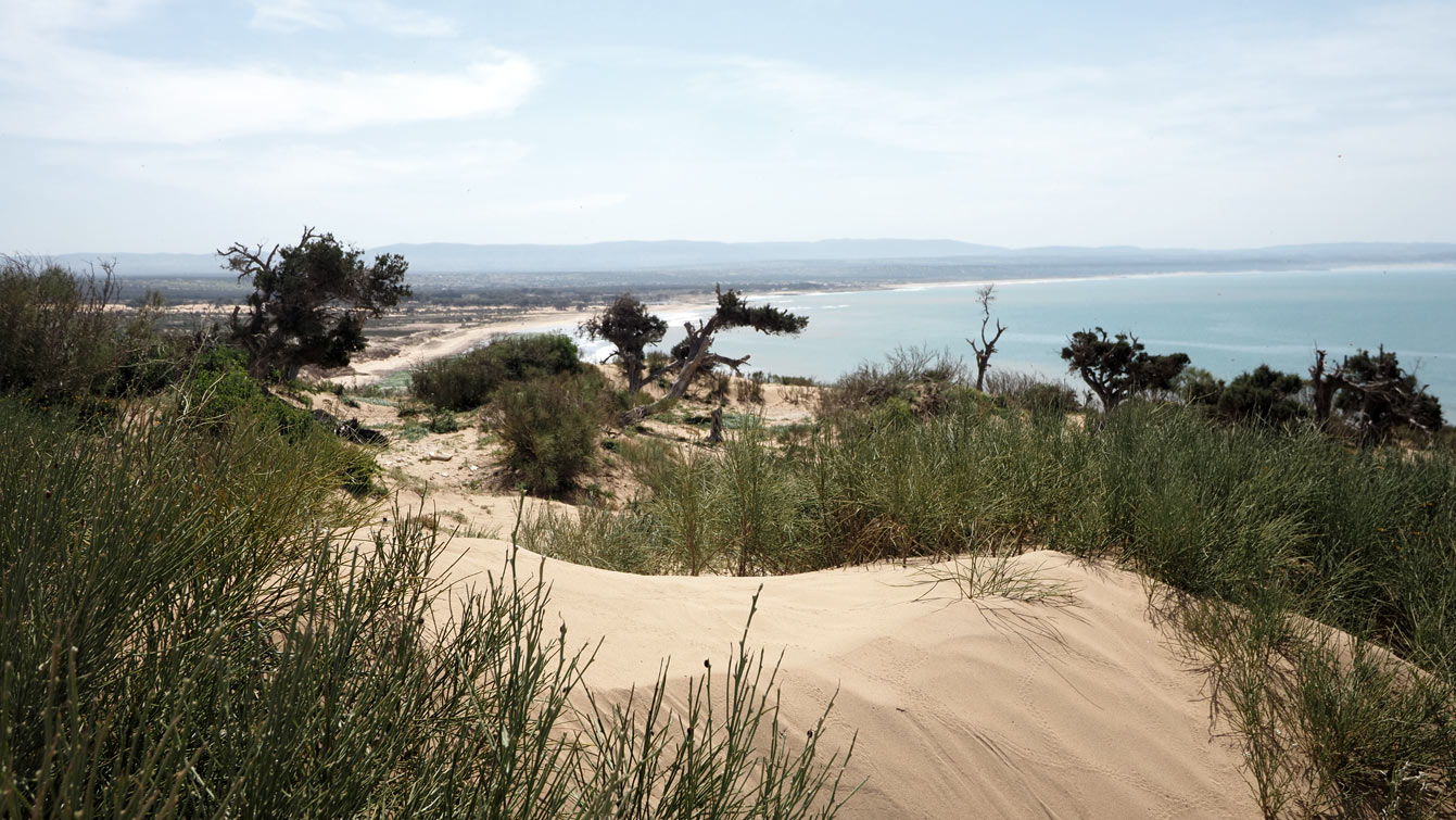 le cap Sim (Maroc)