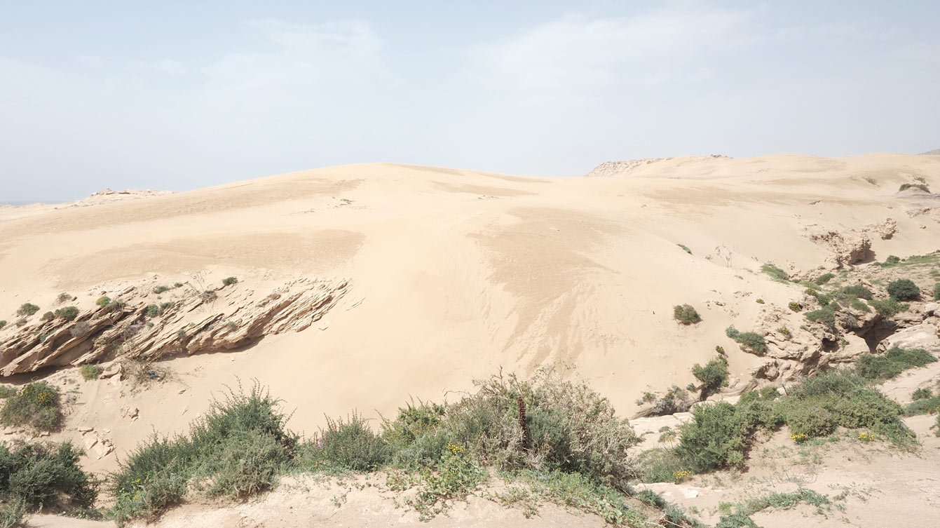 Les dunes de Timlalin (maroc)