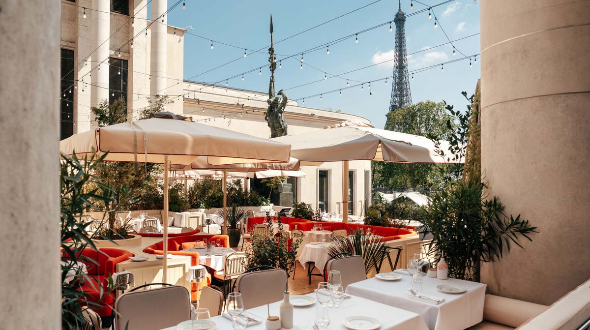 Corail, Terrasse du Musée d'Art Moderne