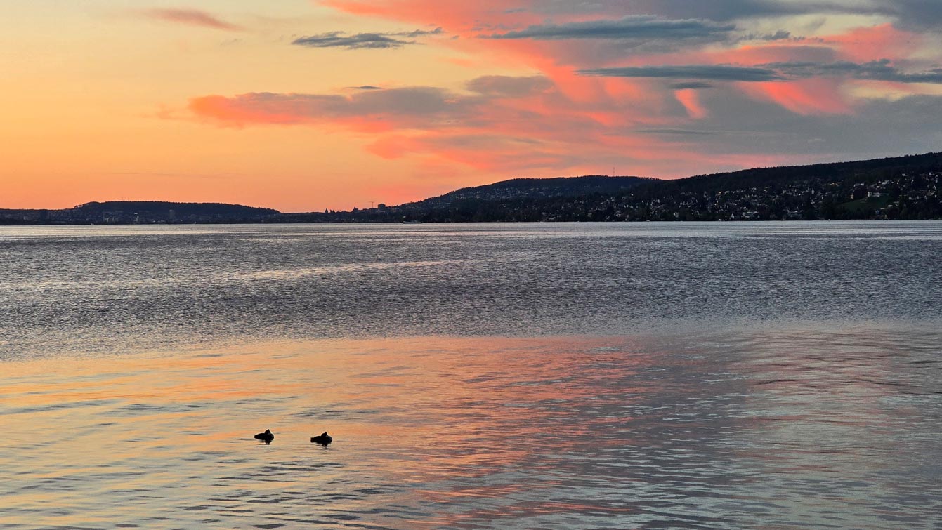 lac, Horgen, Suisse
