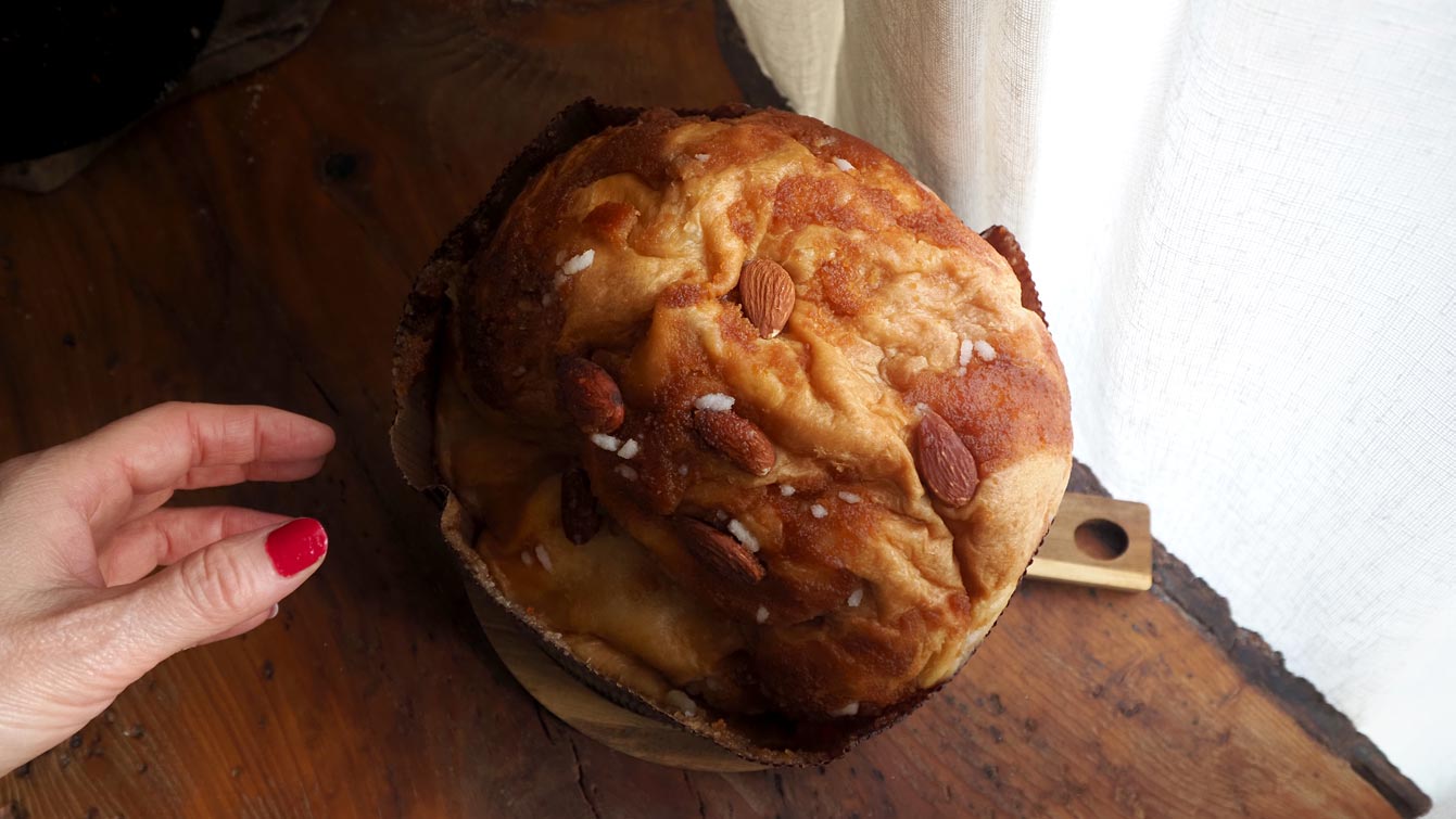 Dôme doré du panettone L'Effronté couvert d'amandes entières et de sucre en grains