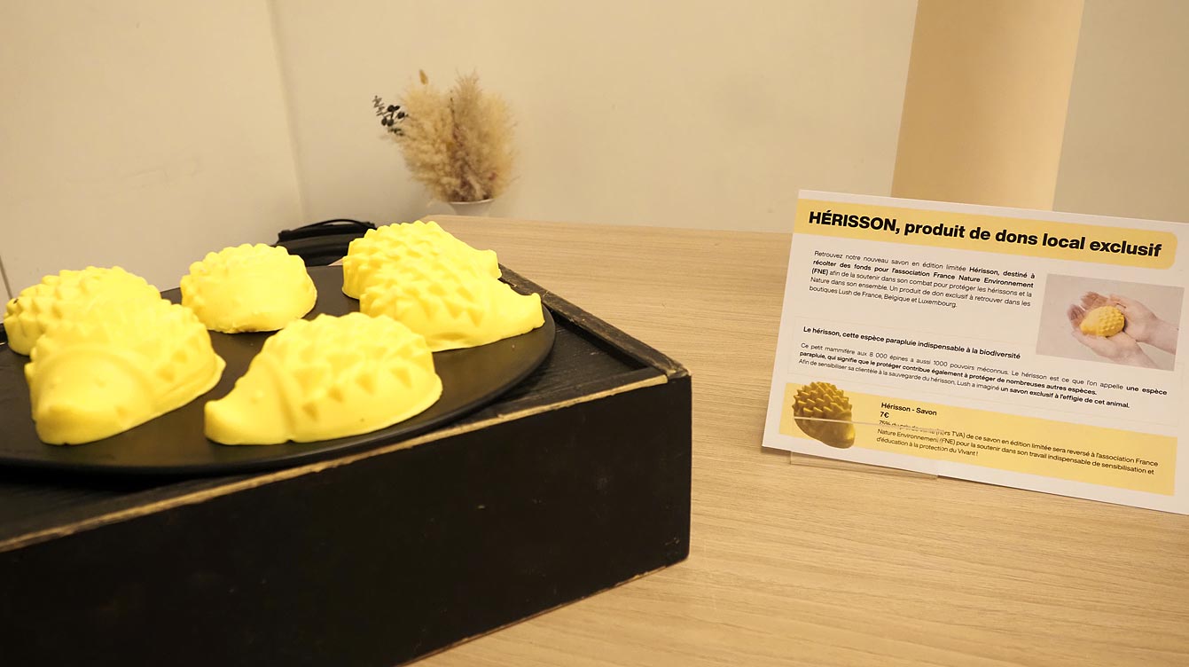 Savons Lush jaunes en forme de hérisson posés sur un plateau noir, à côté de leur cartel de présentation