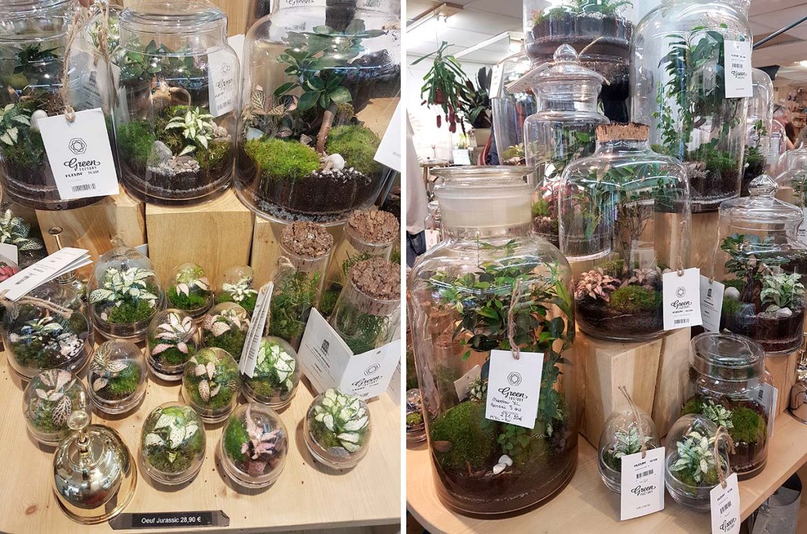 Fleux, l'incontournable concept store (Paris 4e)