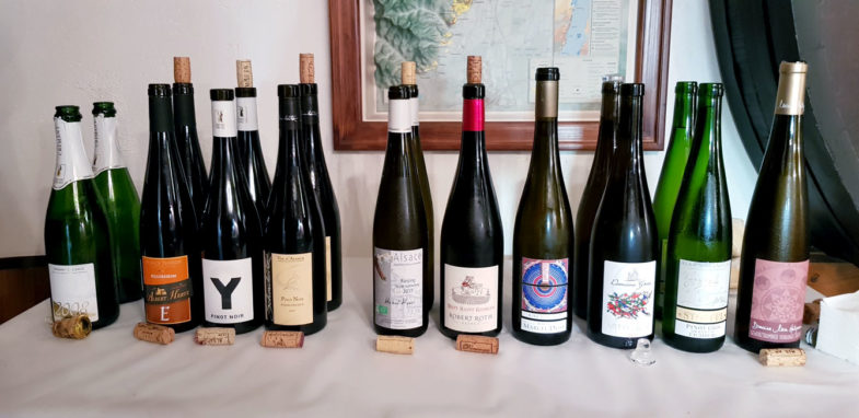 Les 10 cuvées à découvrir...