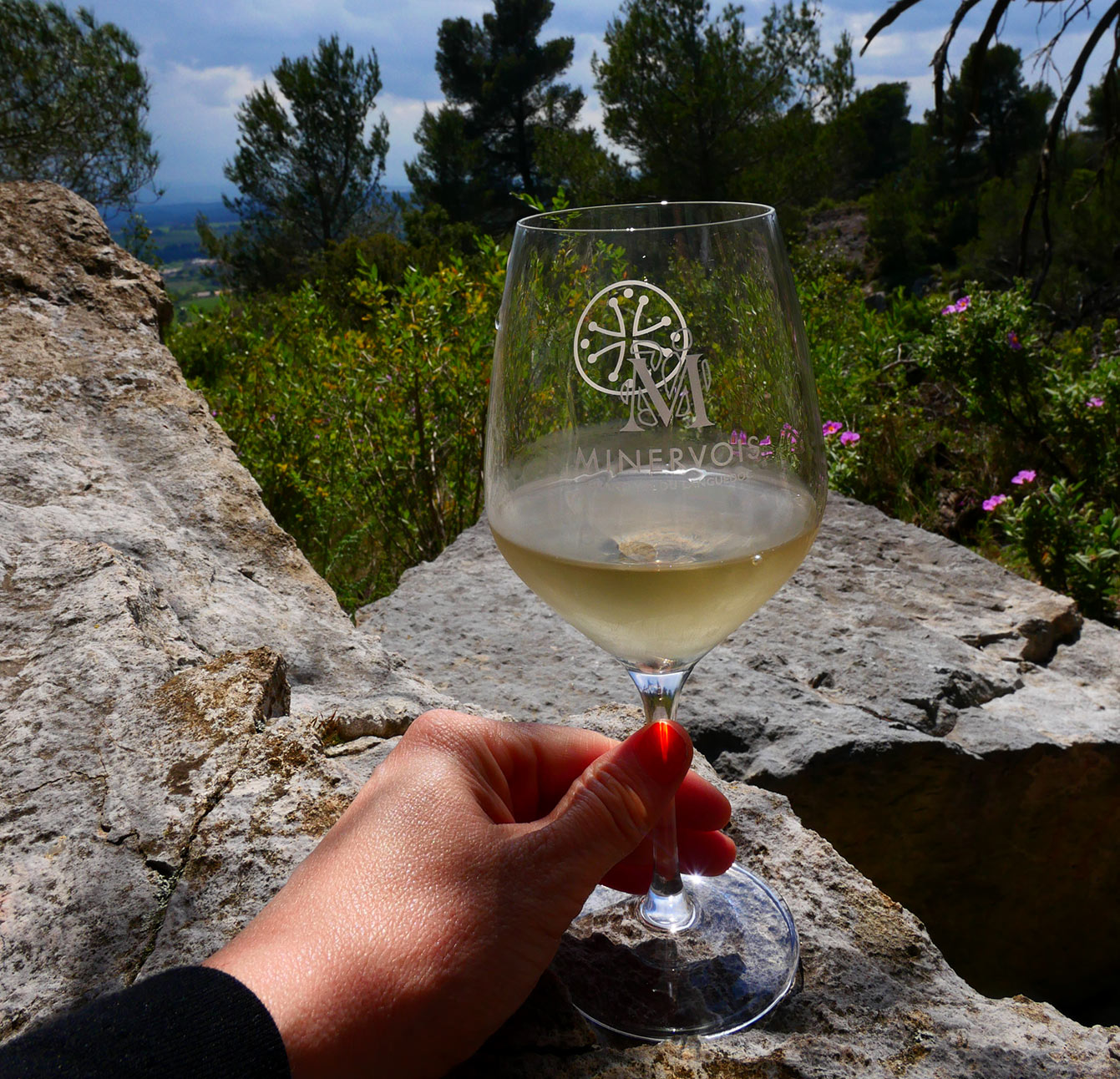 Vignoble du Minervois : verre de vin blanc