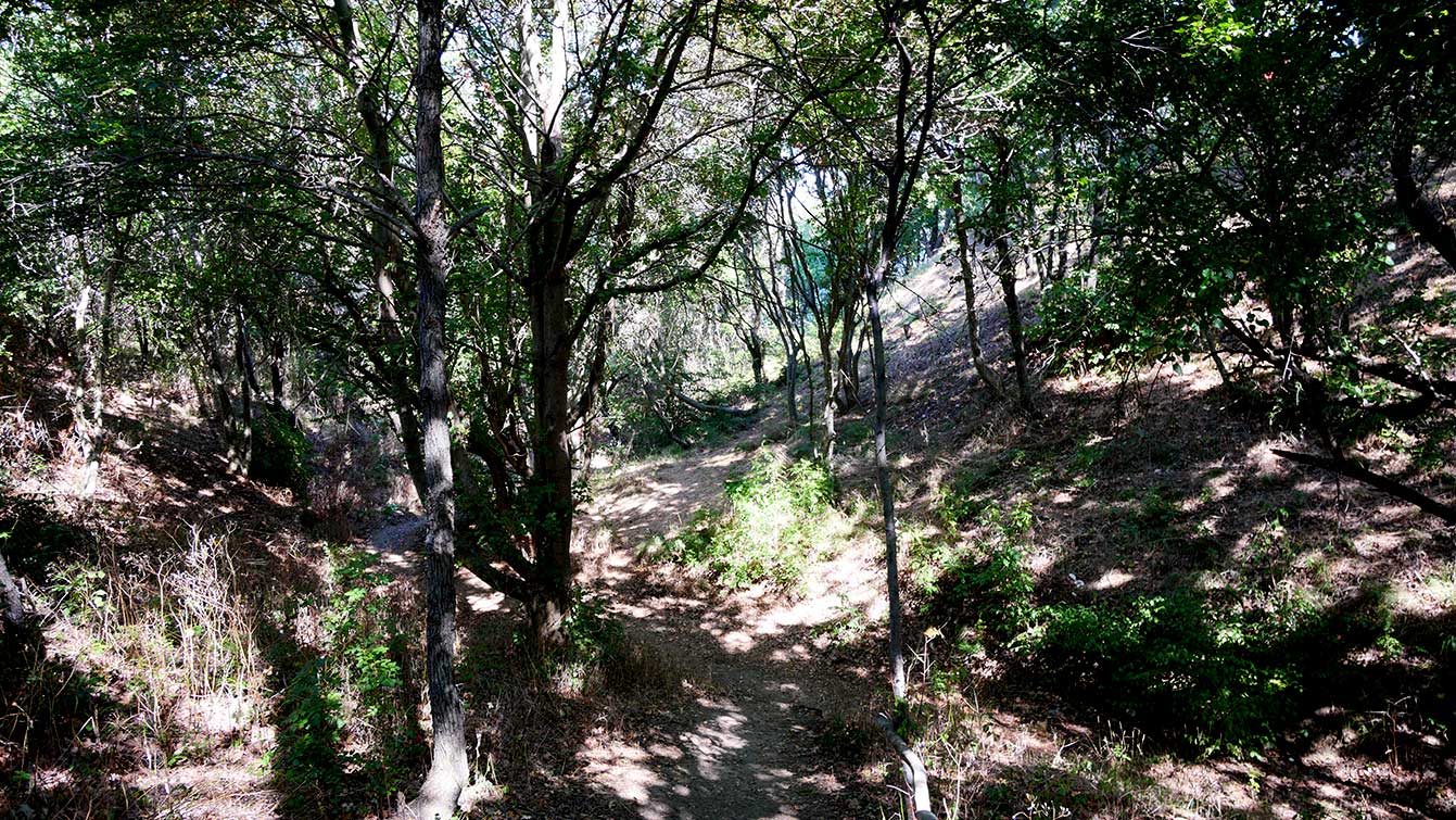 Sentier qui mène à la plage d'Irakli, Bulgarie