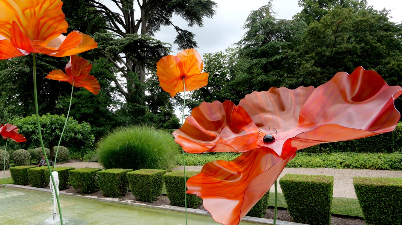 Des coquelicots géants au Château de Cheverny, oeuvre d'Alexis Boyer