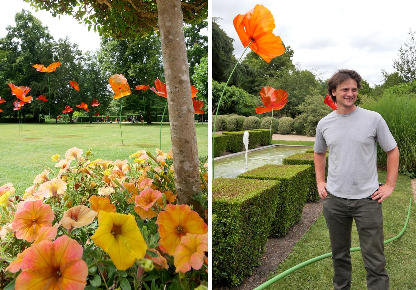 Des coquelicots géants au Château de Cheverny, oeuvre d'Alexis Boyer