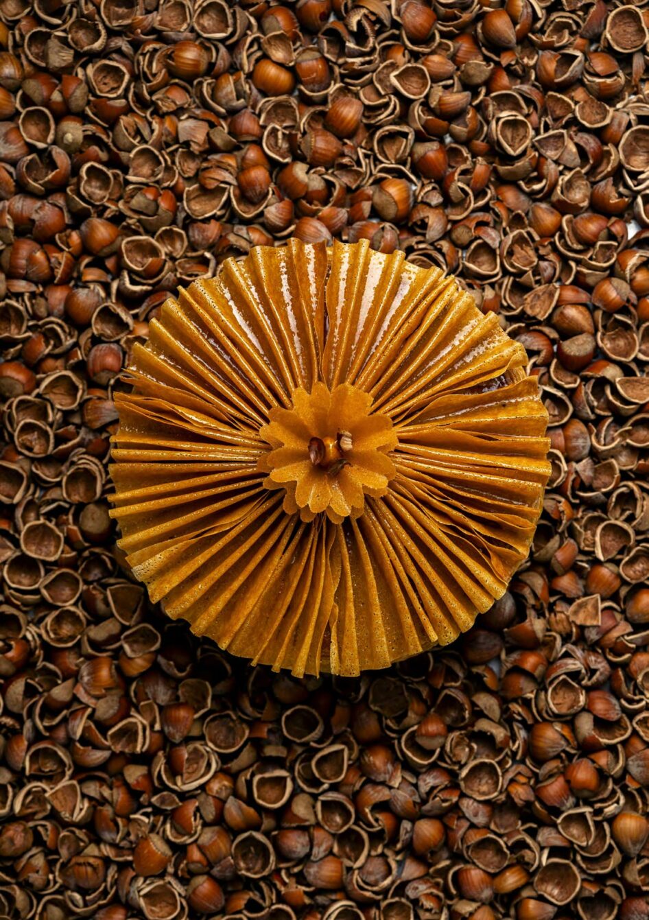 -LA RESERVE | La Galette des Rois « Fleur de Noisette